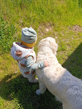 IMG_20250512_110547