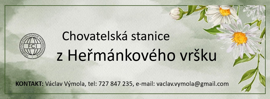 CHS vizitka 2